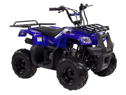  Irbis ATV70U